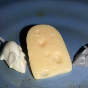 myšky sýr miniatury