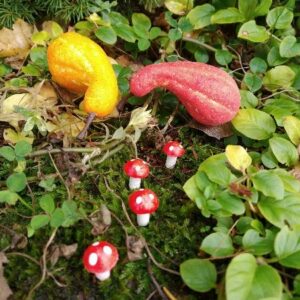 muchomůrka miniatura