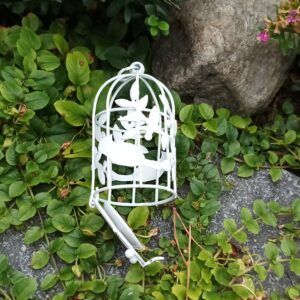 kovová klec/klícka