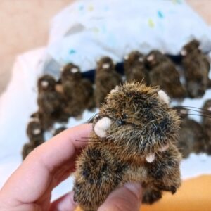 Svišť - klíčenka