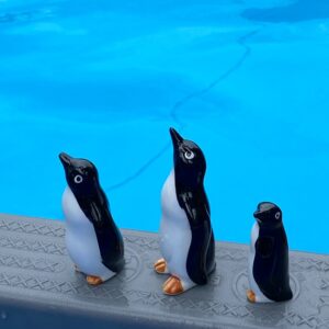 Rodina tučňáčků